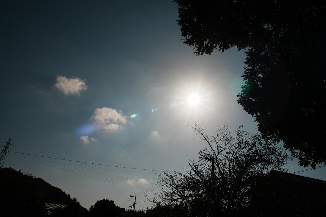 しっとりとした描写 Nikon AI Nikkor 24mm f2.8 228