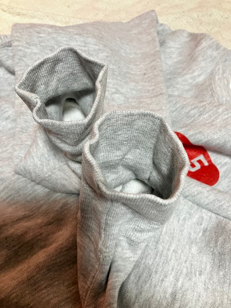 【貴重】champion リバースウィーブ スウェット 単色タグ　カプセル