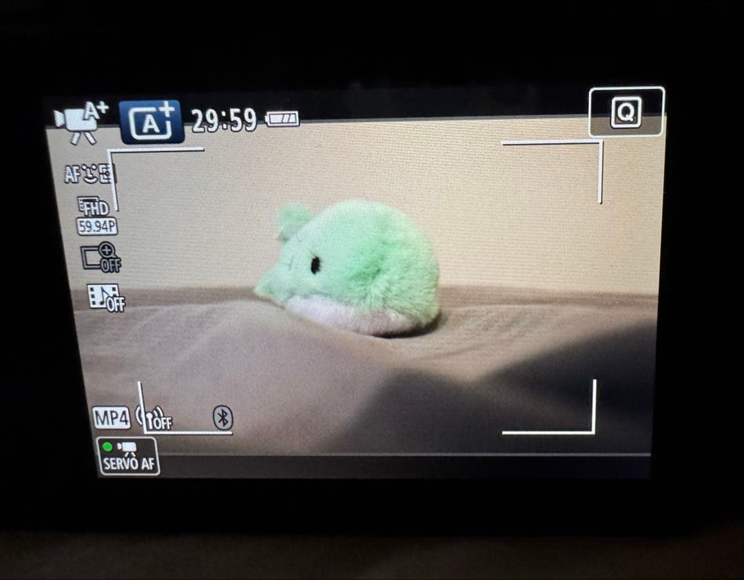 Canon デジタル一眼レフ EOS kiss x9