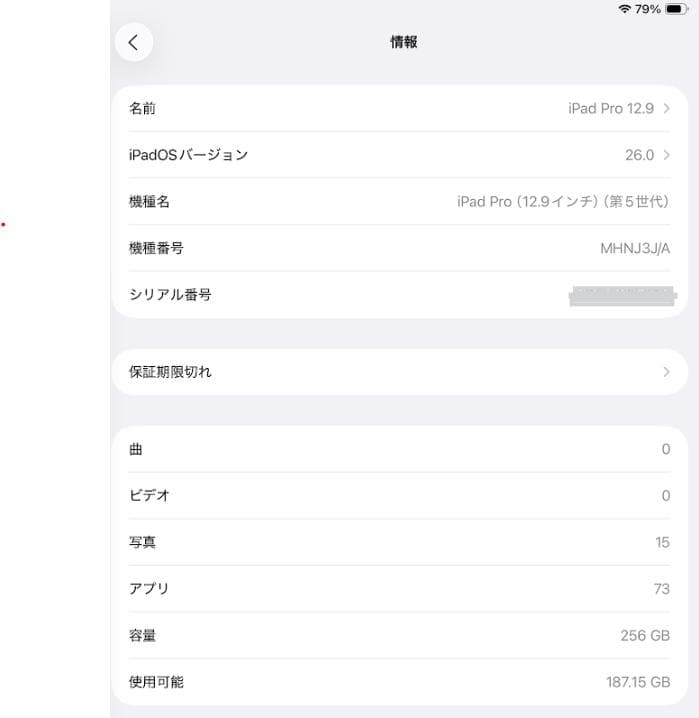 iPad Pro 12.9インチ 第5世代 Wifi 256GB 本体 シルバー