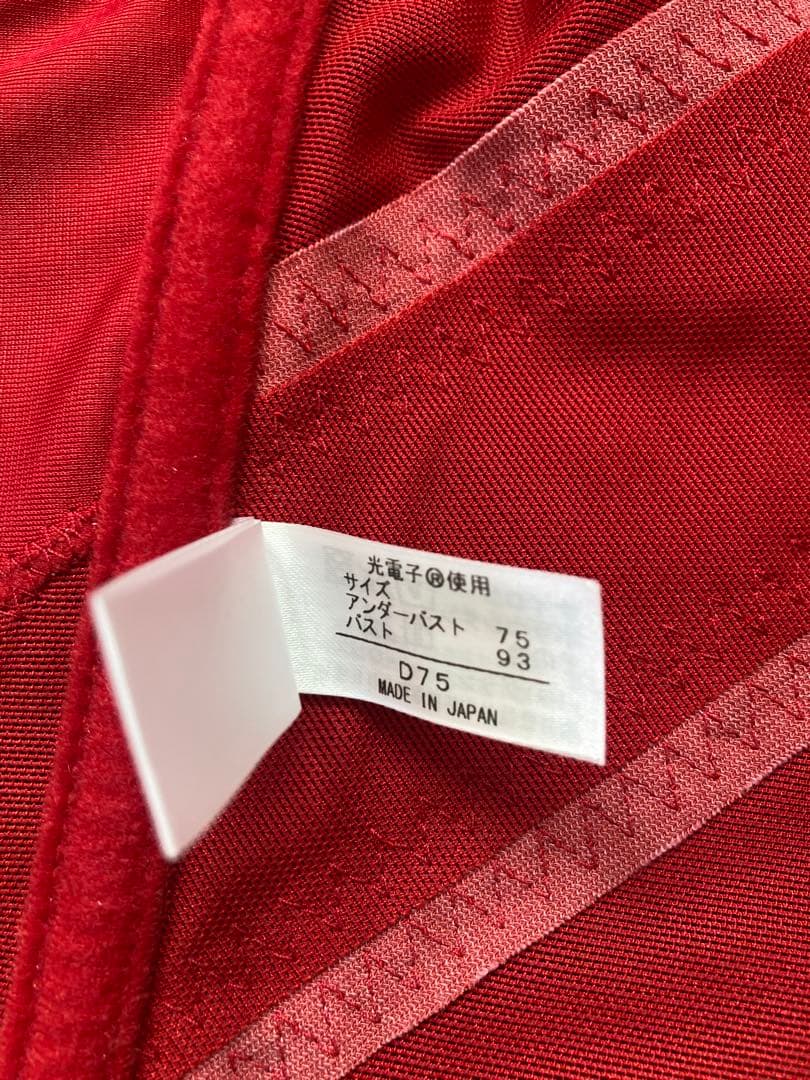 グラントイーワンズ【美品】ニッパービスチェ　LOVE D75 ※割引中