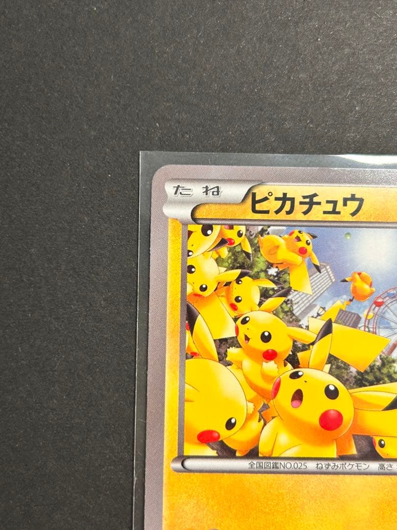 ピカチュウ大量発生チュウ！069