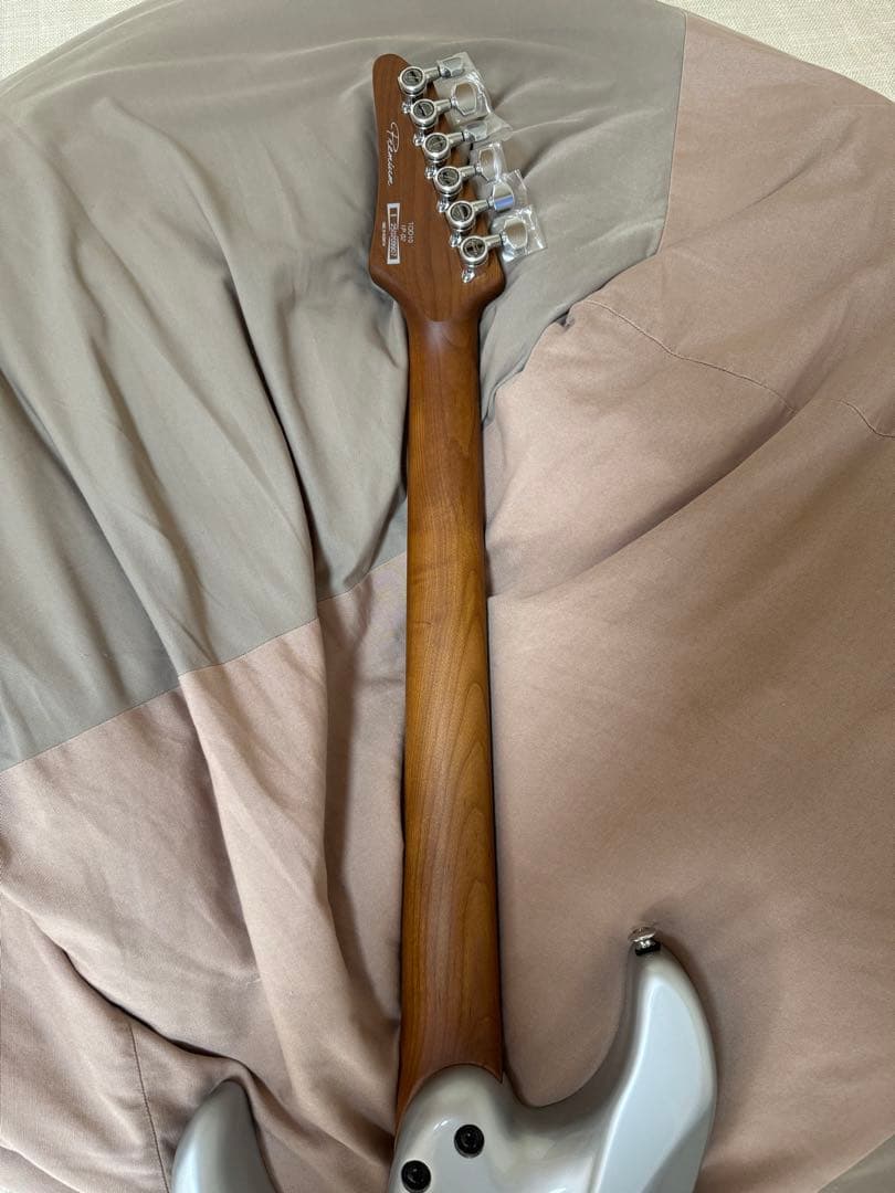 【期間限定値下げ】2025年4月新品購入 Ibanez TOD 10