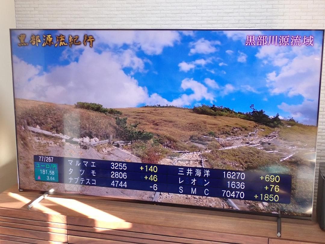 BRAVIA XRJ-85X90L [85インチ] 2023年12月23日購入