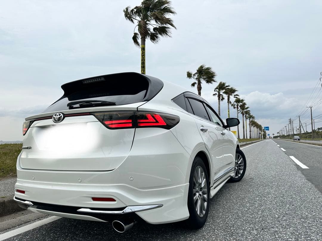 60ハリアー テール　ヴァレンティ