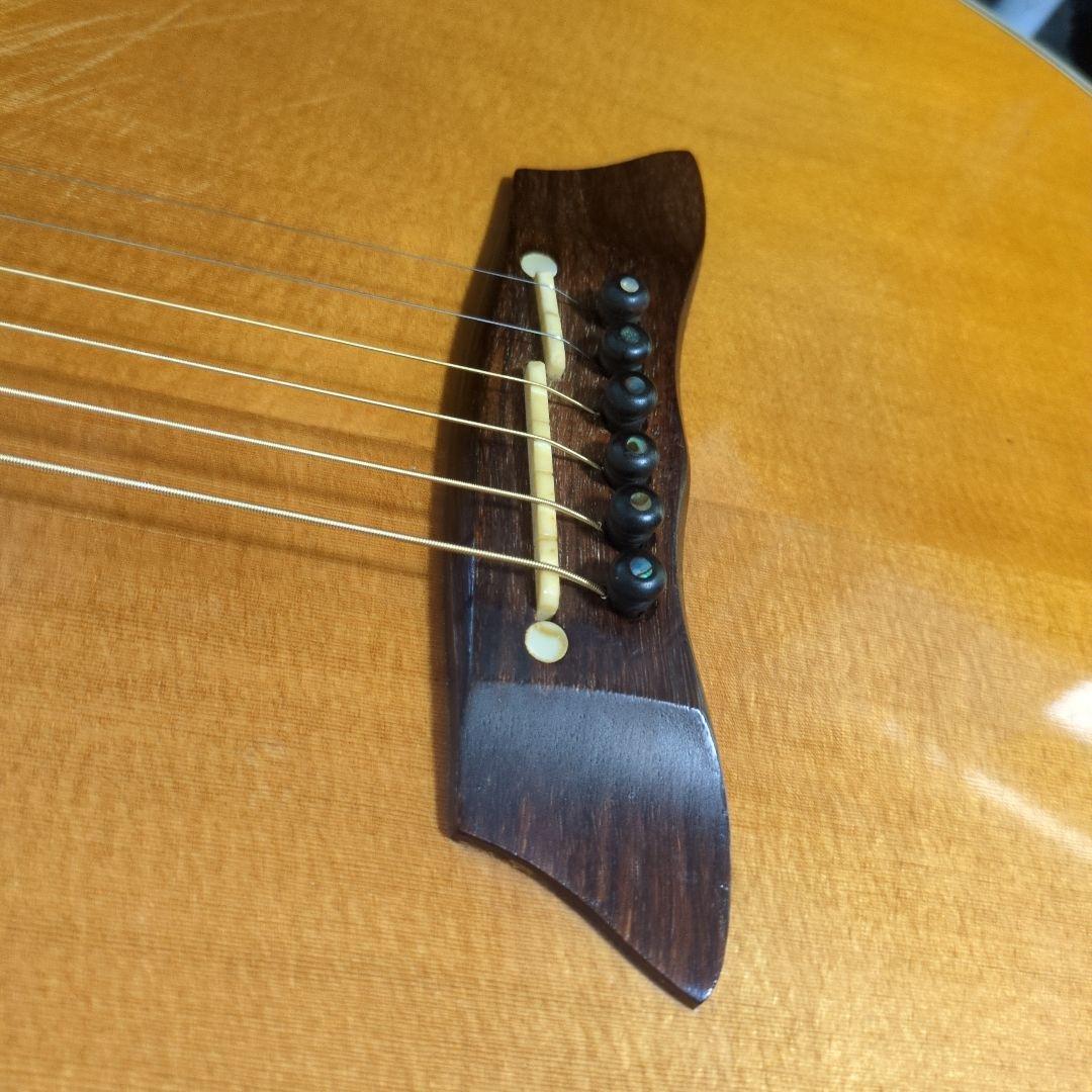 Takamine アコースティックギター　TRS115