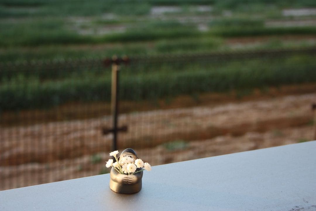 【スマホ転送◎】エントリーモデル Canon Kiss x2 初心者入門