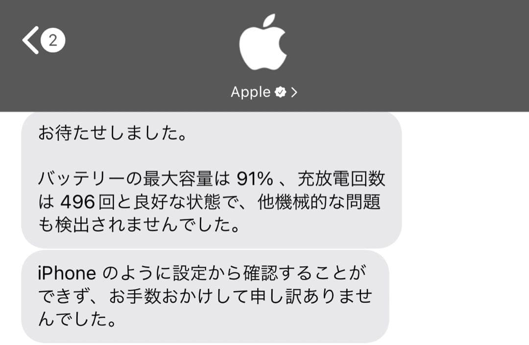 【美品】Apple iPad mini 第5世代 シルバー 本体