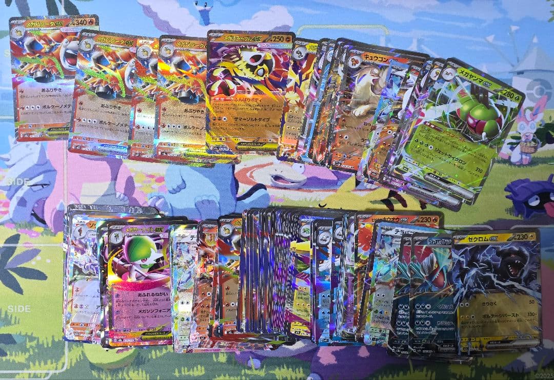 ポケモンカード exのみRR 800枚まとめ売り 現行レギュレーション ポケカ