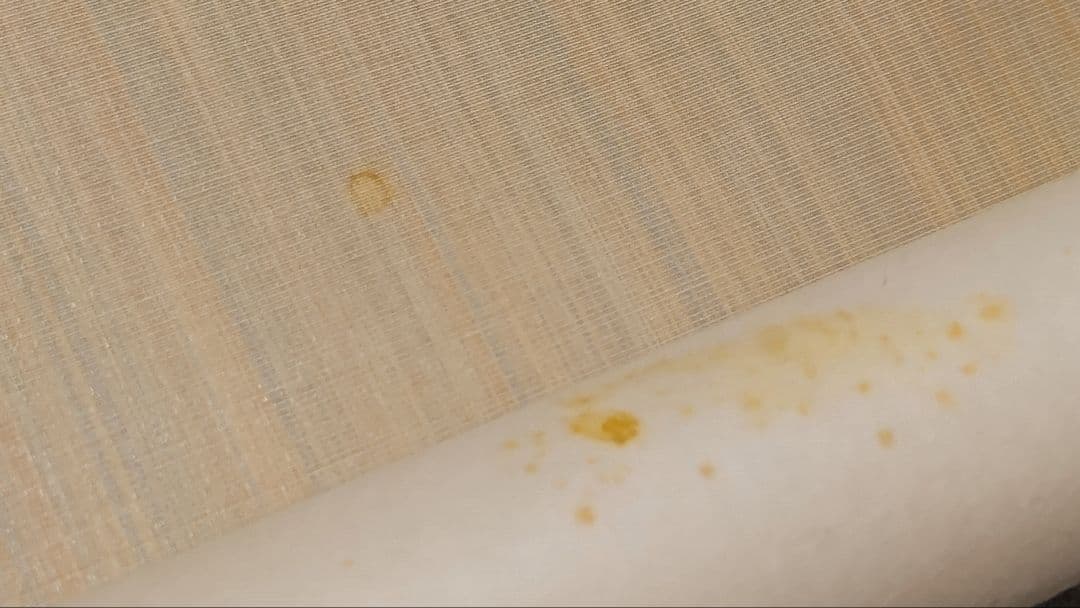 ご希望額まで値下げ@ 宋念祖(極庵) 韓国朝鮮 花文字 大正9年 肉筆掛軸 3本