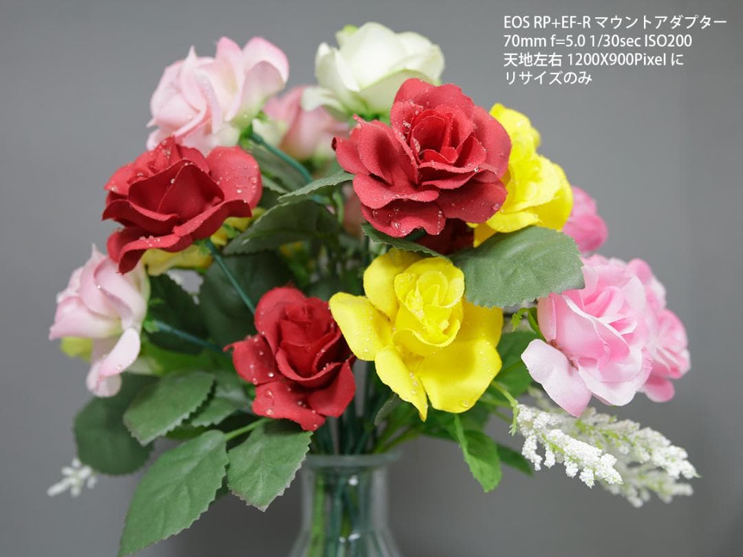 Canon EF 28-135mm ズームレンズ 美品 社外品新品フード