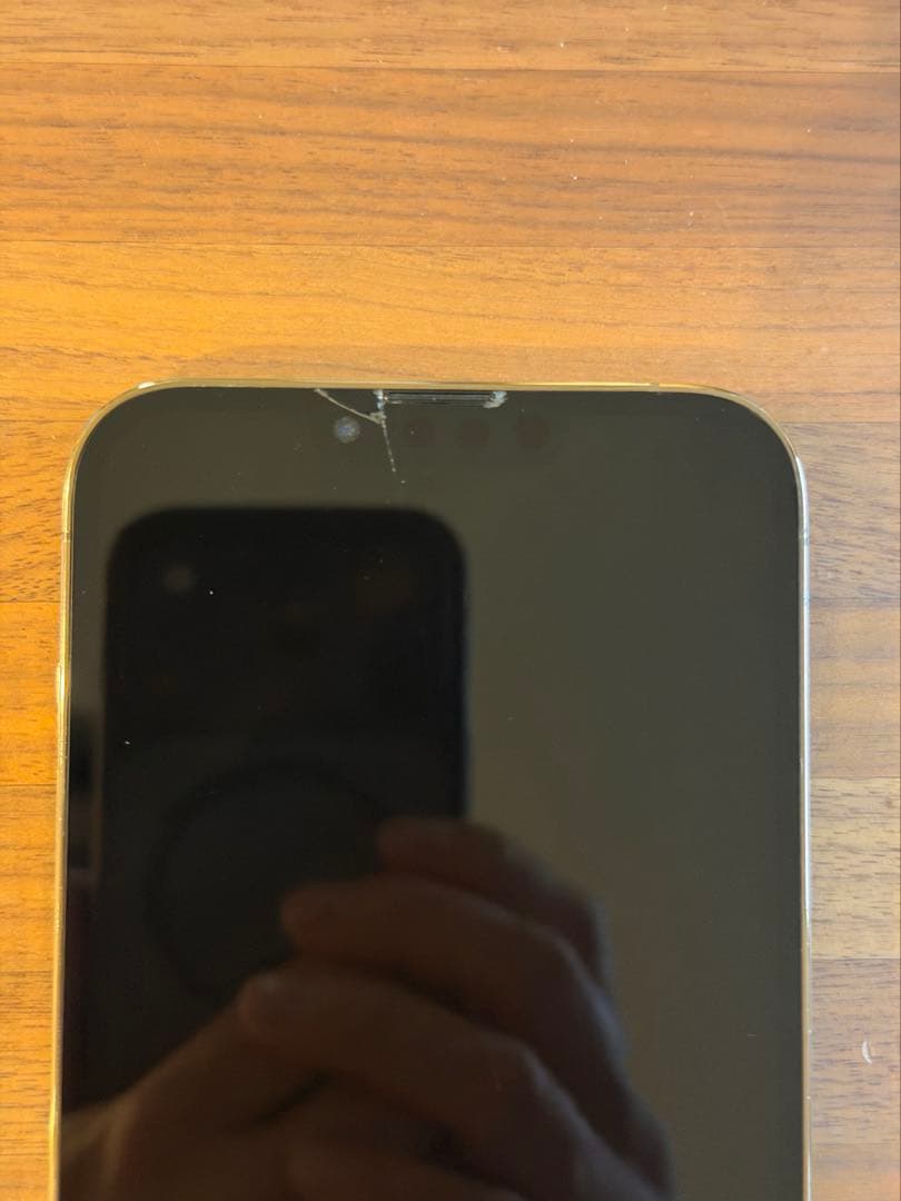 【ジャンク】iphone13 pro max 256GB / おまけケース付き