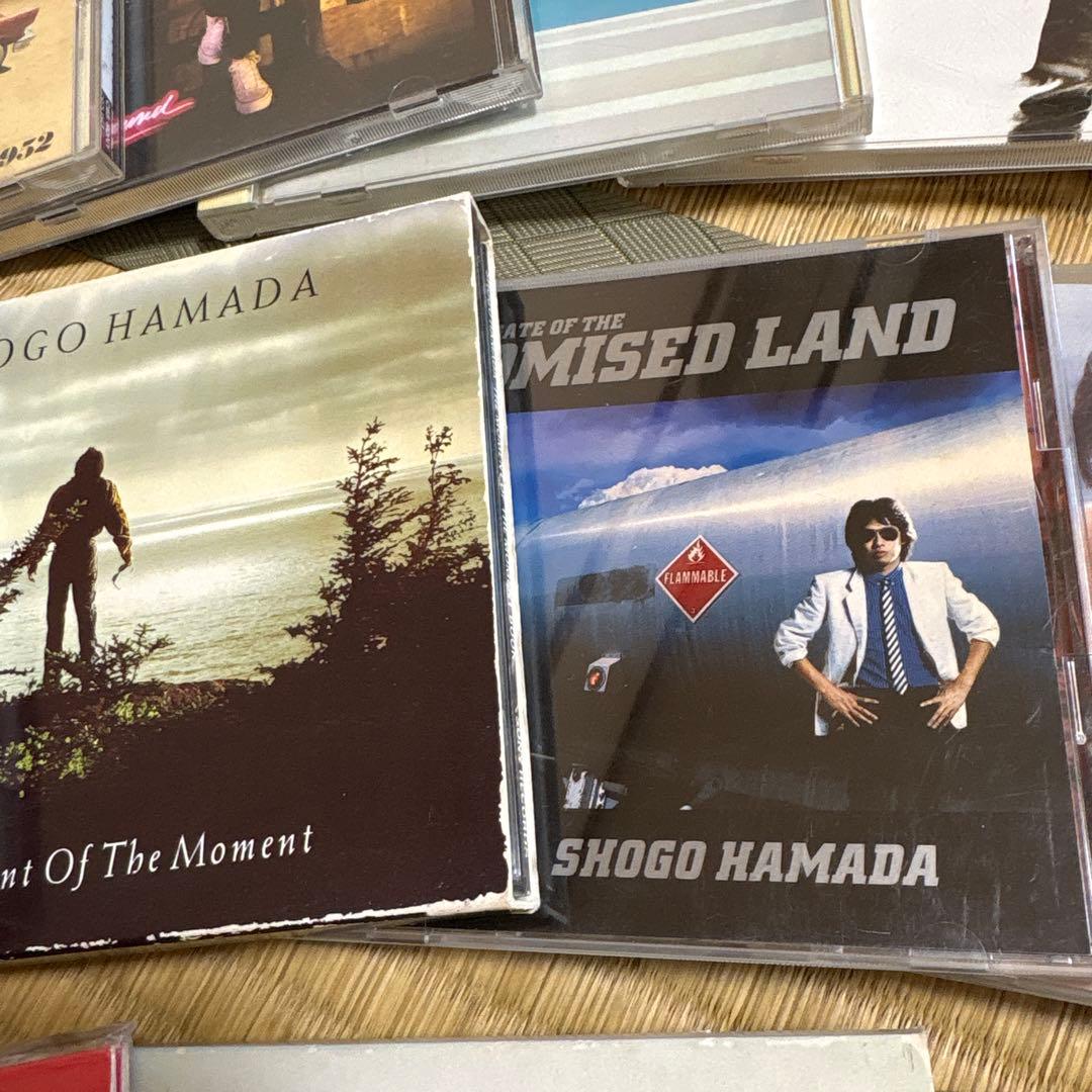 浜田省吾　レコード、CD