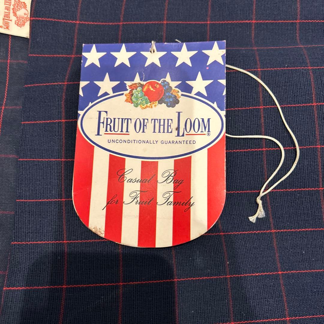 激レア　希少品　FRUIT OF THE LOOM チェック　ガーメントバッグ