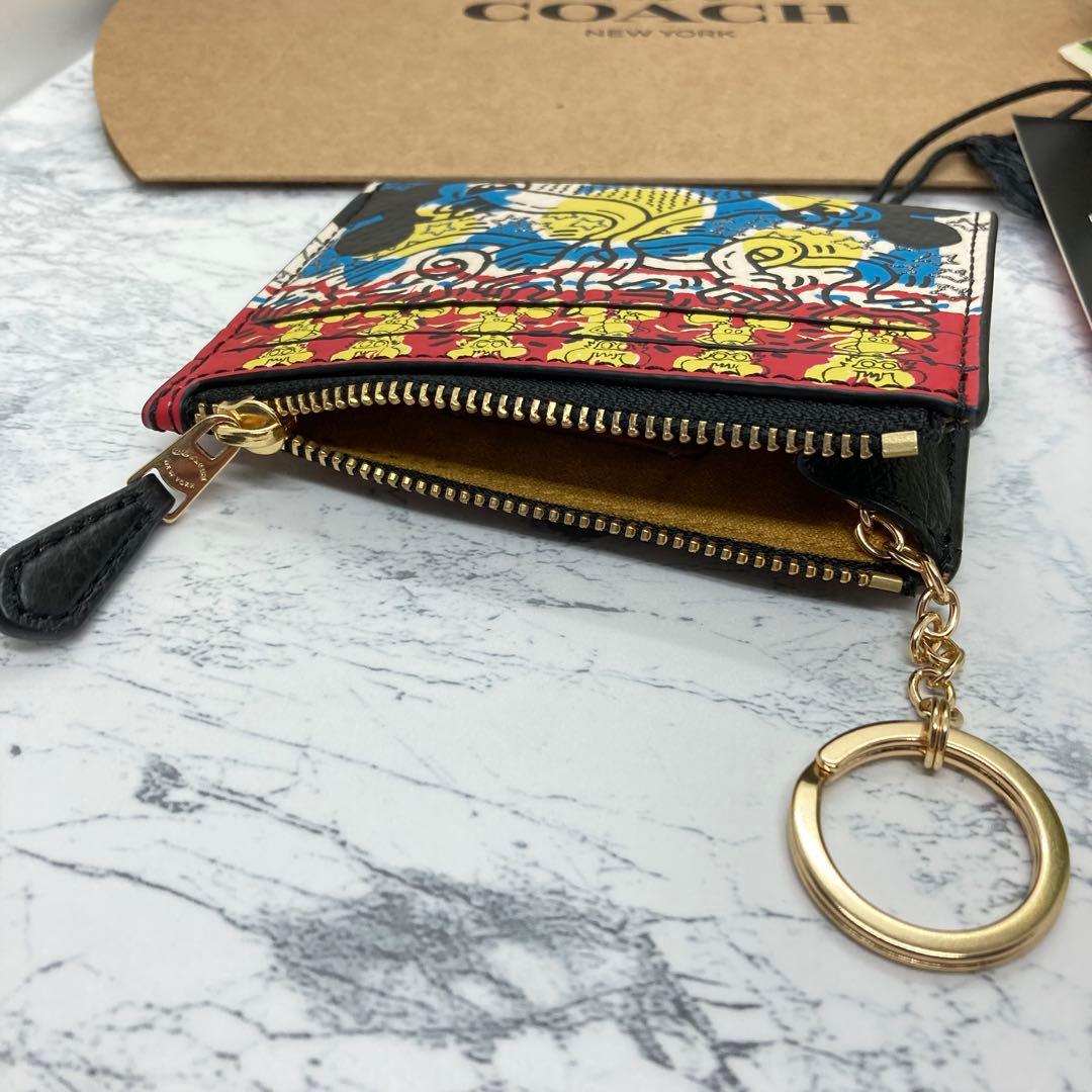 限定コラボ THE MICKEY X KEITH HARING パスケース