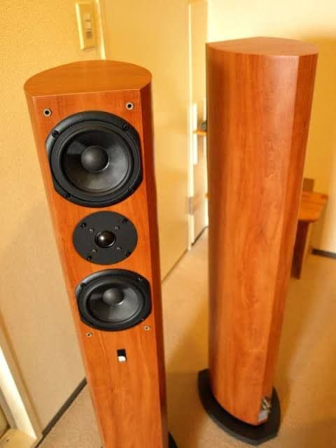 トールボーイスピーカー ペア AUDIO PRO(スウェーデン製)