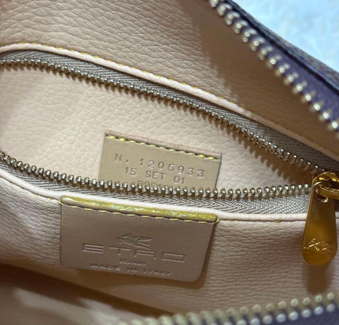 専用　エトロ バニティ ミニ ハンドバッグ