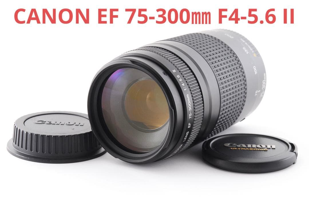 ☆並品☆キャノン CANON EF 75-300㎜ F4-5.6 II