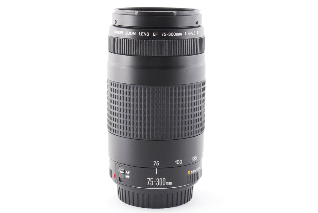 ☆並品☆キャノン CANON EF 75-300㎜ F4-5.6 II