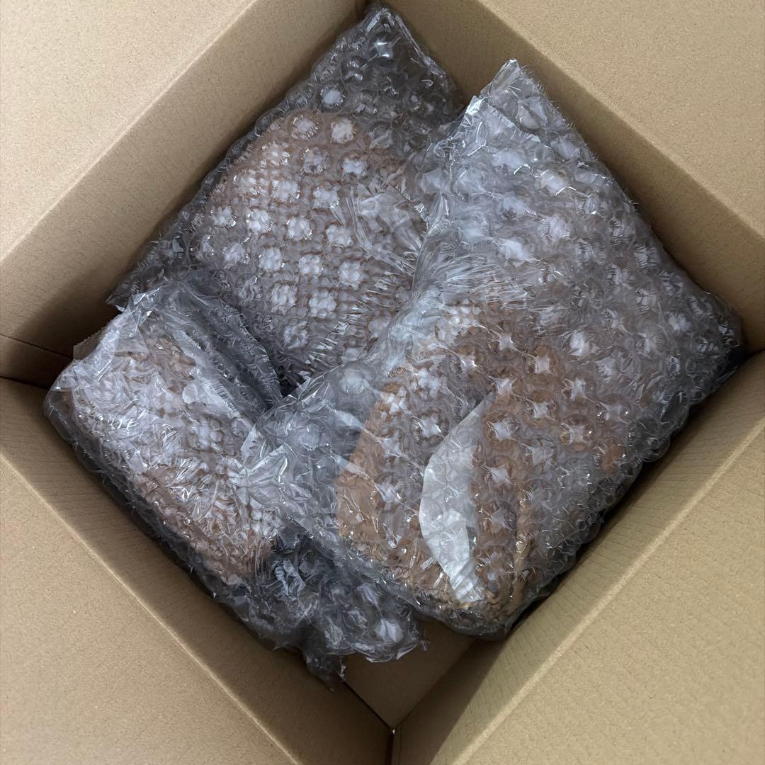 コジコジ　スタディオクリップ　炒飯皿　まとめセット