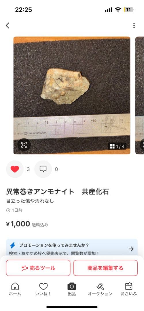 ひでさん　化石セット