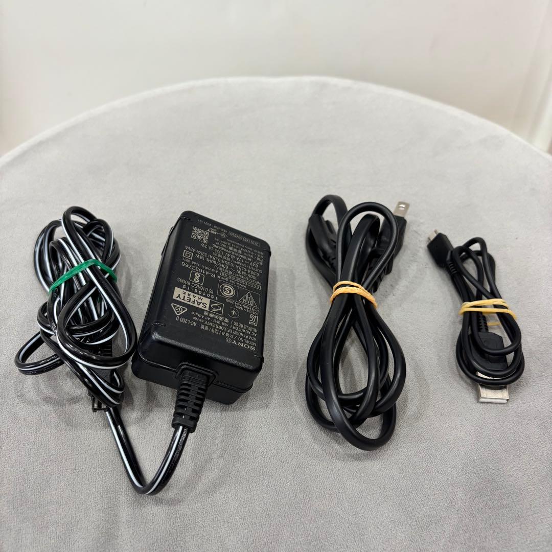 【おに】SONY 4K ビデオカメラ FDR-AX45 本体一式　付属品