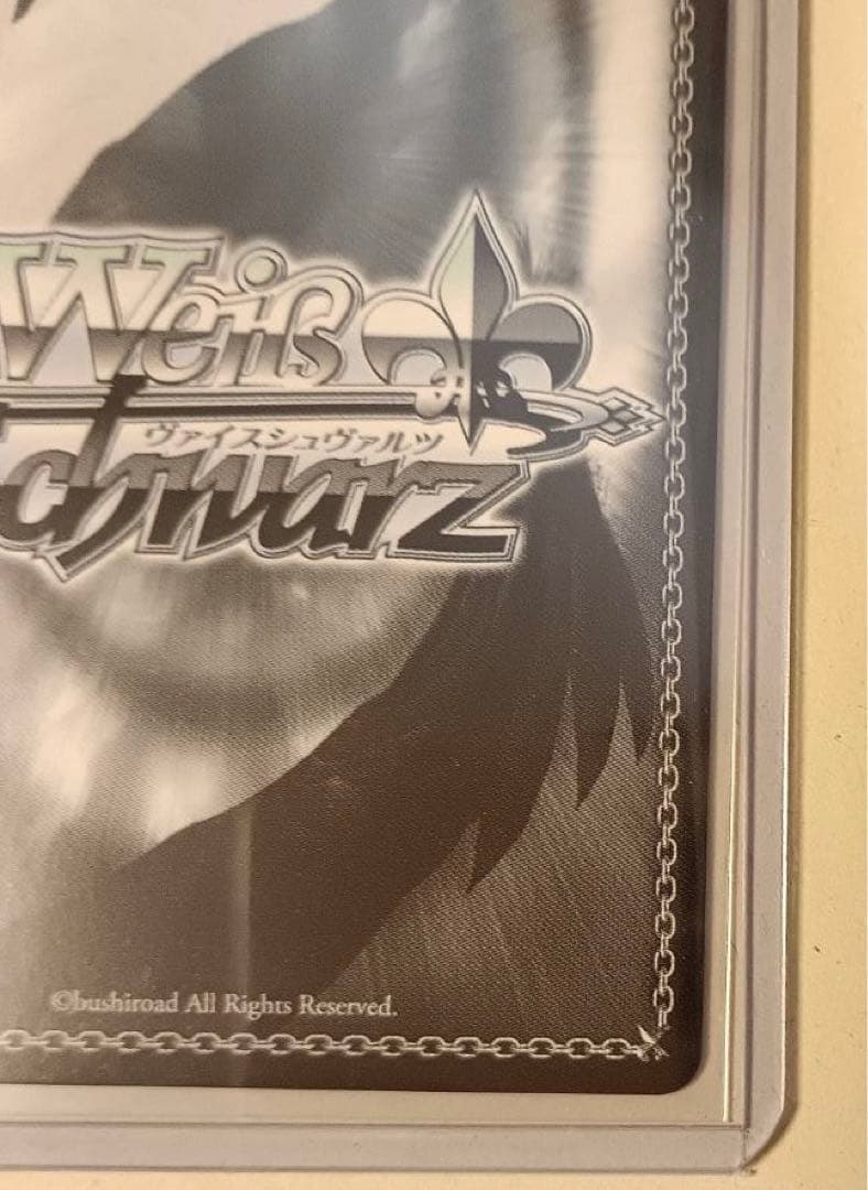 メアリー・ベイゴス SP NIKKEトレーディングカード