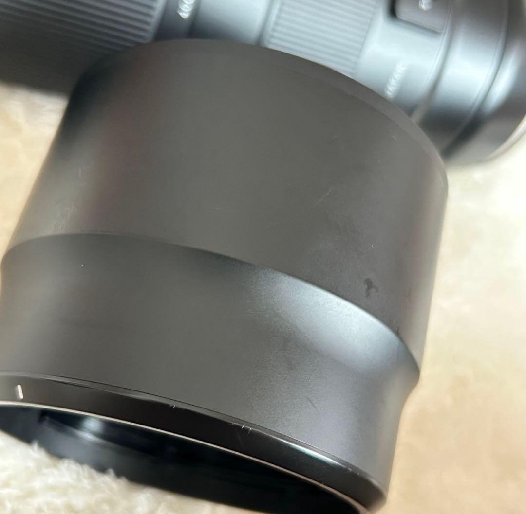 タムロン 100-400mm F4.5-6.3 望遠ズームレンズ