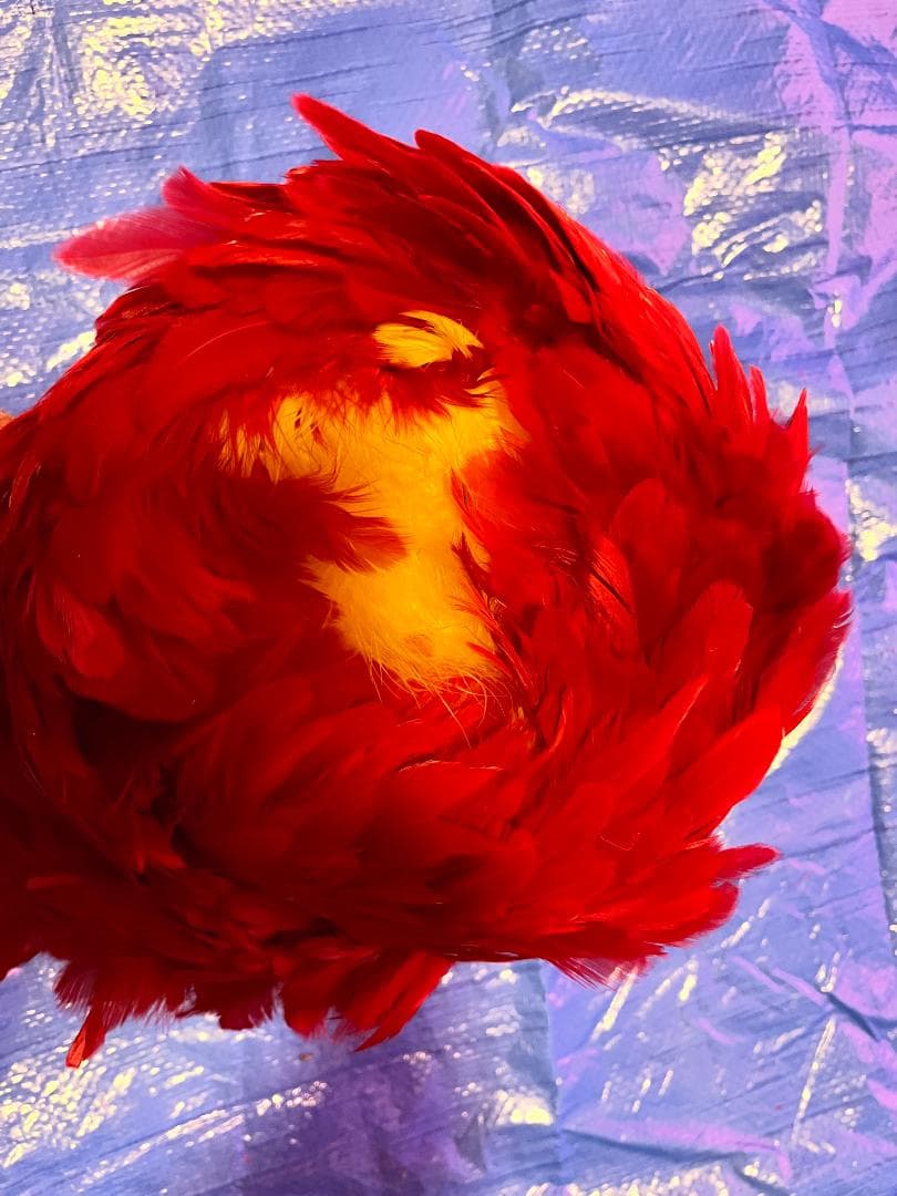 フラダンス ウリウリ 一体型 赤 羽根 フラ楽器