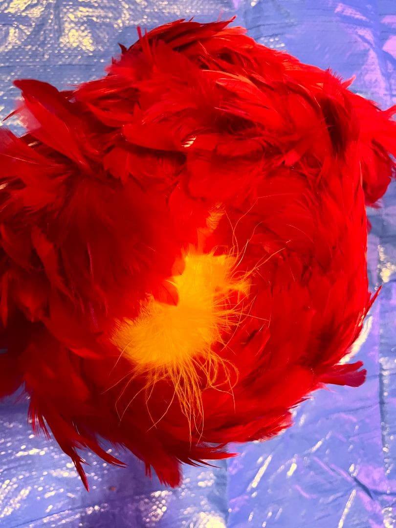 フラダンス ウリウリ 一体型 赤 羽根 フラ楽器