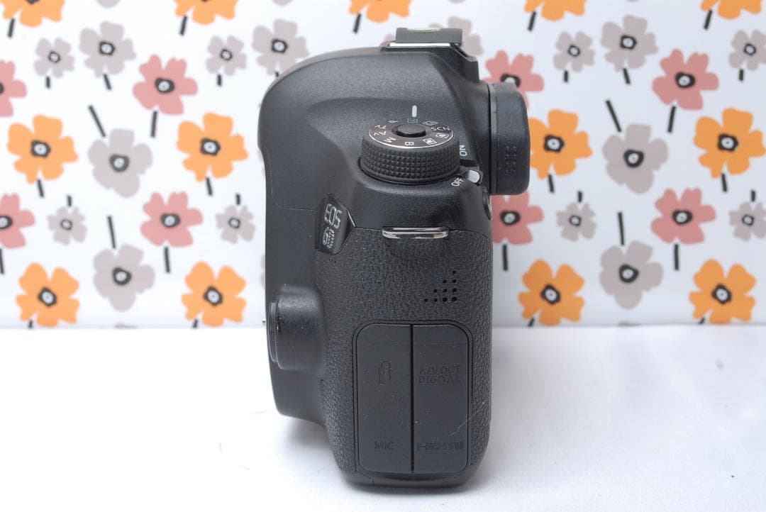 ❤Canon EOS 6D❤超望遠レンズセット❤Wi-Fi搭載❤フルサイズ一眼❤