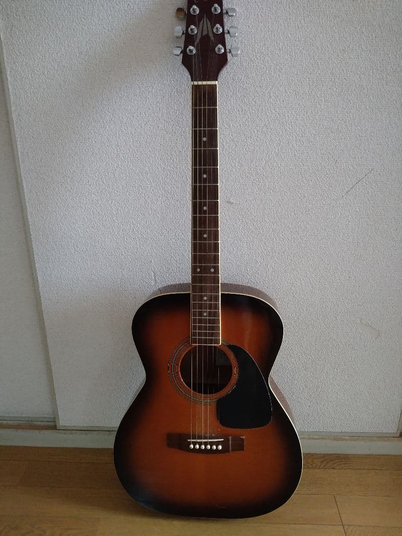 TAKAMINE T-F1/BS アコギ