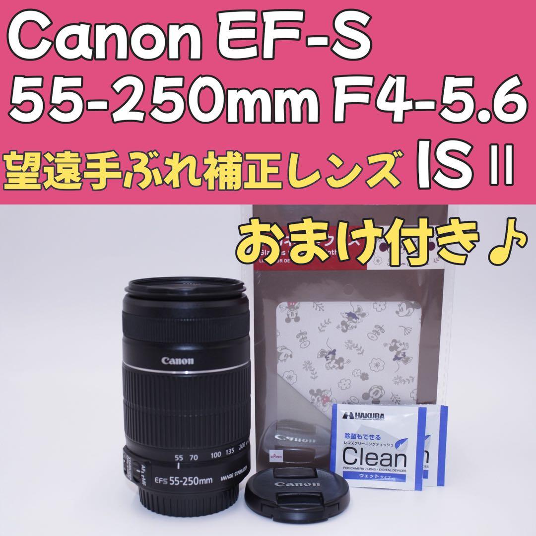美品✨Canon EF-S 55-250mm F4-5.6 IS Ⅱ 望遠レンズ