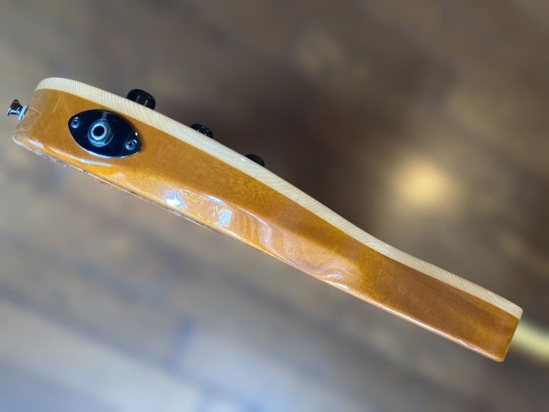 Westville Westel Semi-Hollow 　貴重な１マイク仕様