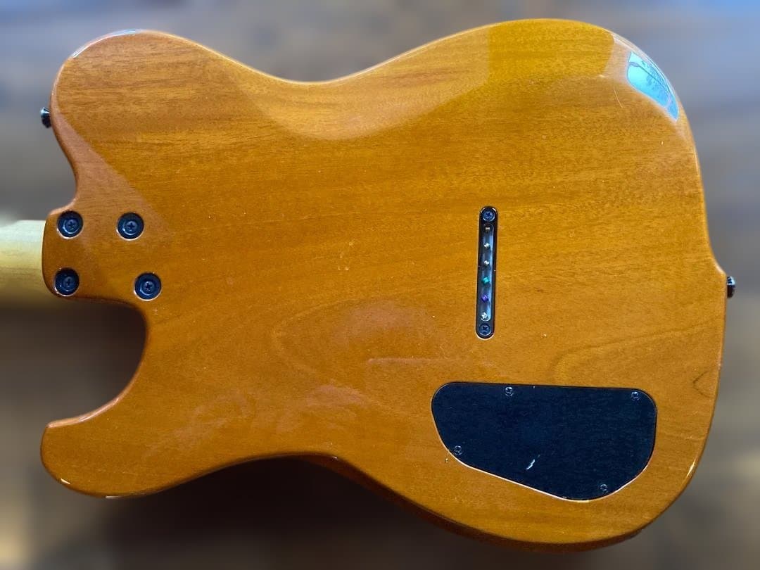 Westville Westel Semi-Hollow 　貴重な１マイク仕様