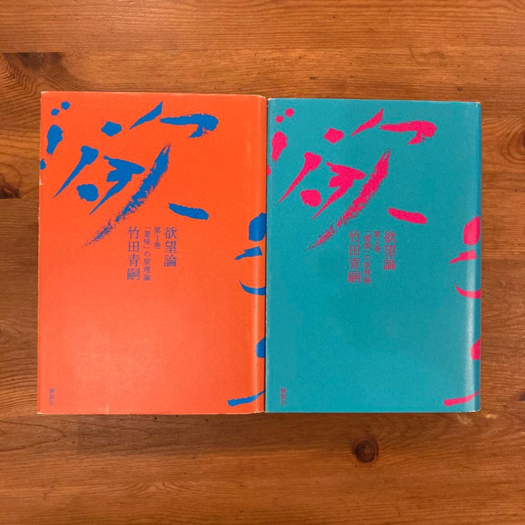 竹田青嗣『欲望論』2冊セット