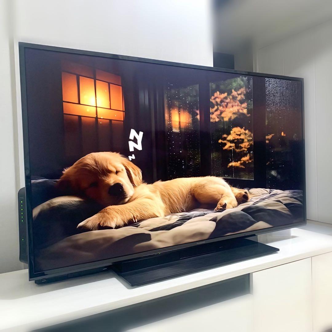 【Panasonic】高画質液晶テレビ/TH-49GR770【2022年製】