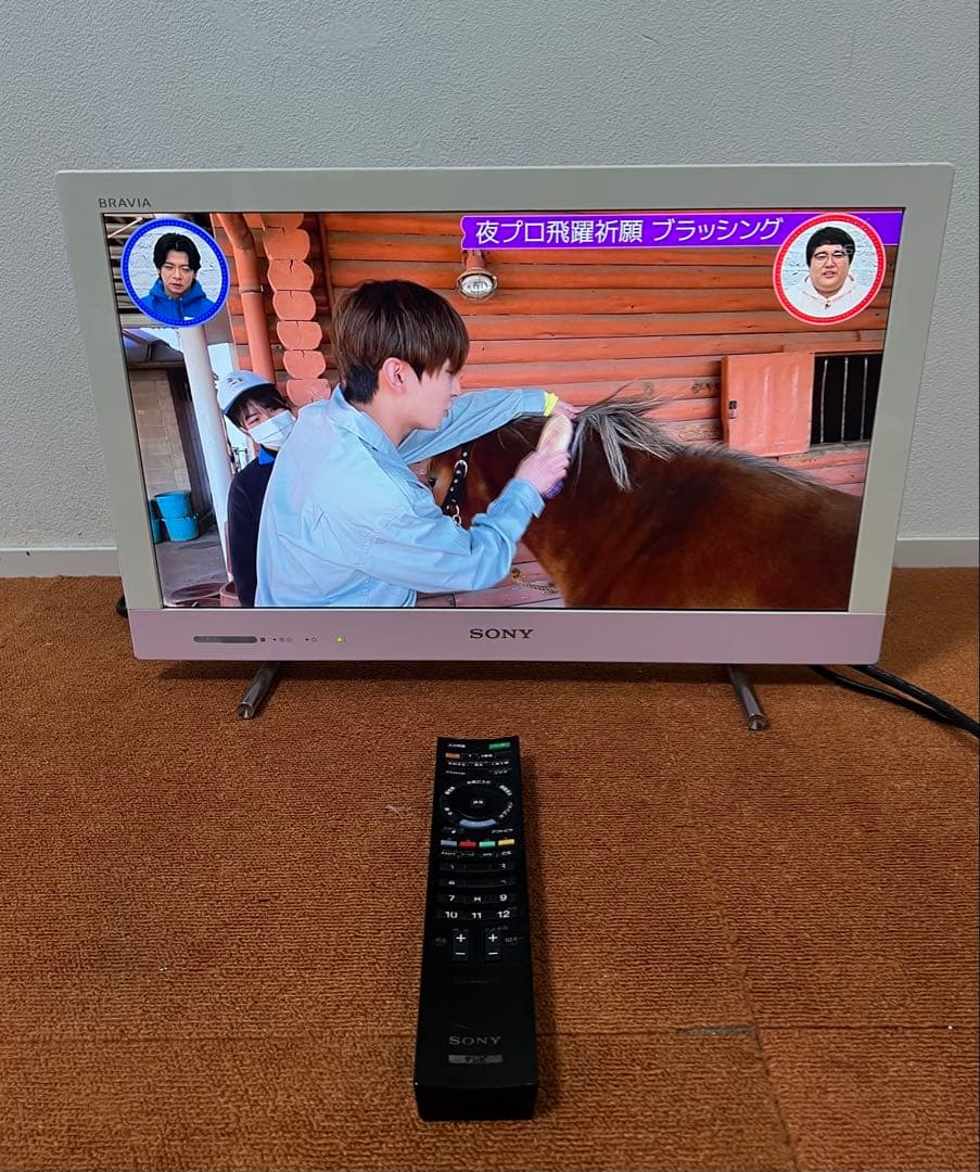 SONY KDL-22EX420 液晶テレビ 外付HDD録画対応