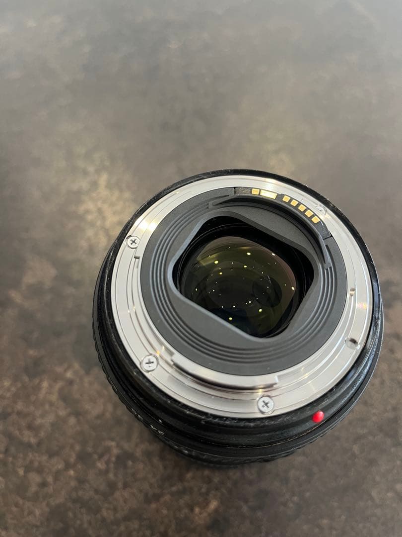 【※期間限定】Canon EF24-105mm F4L IS II USM