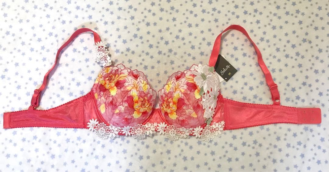 週末SALE✩.*˚早い者勝ち❣️新品 ワコール　サルート