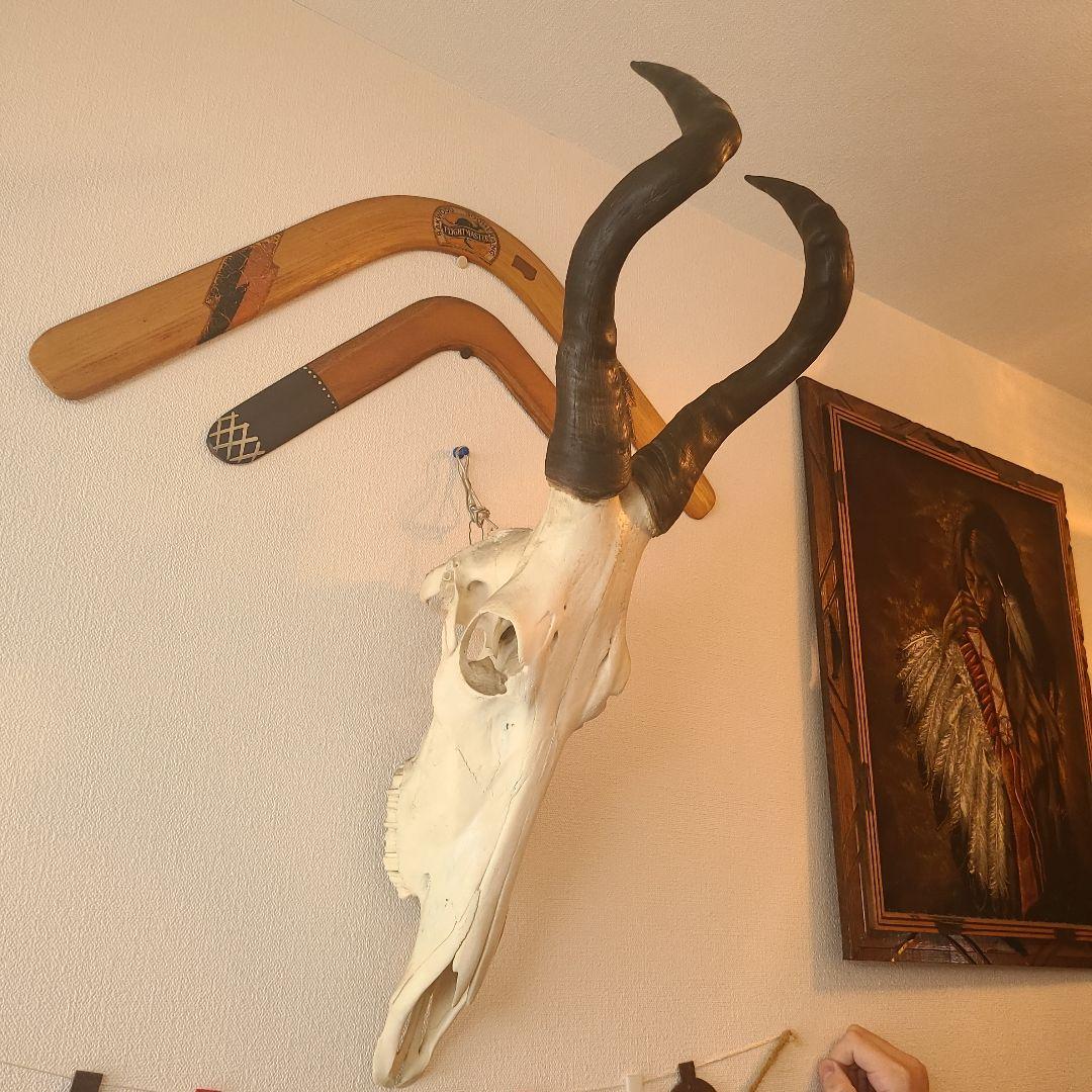 最終値下げ　バッファロースカル　牛頭蓋骨　壁掛け　オブジェ