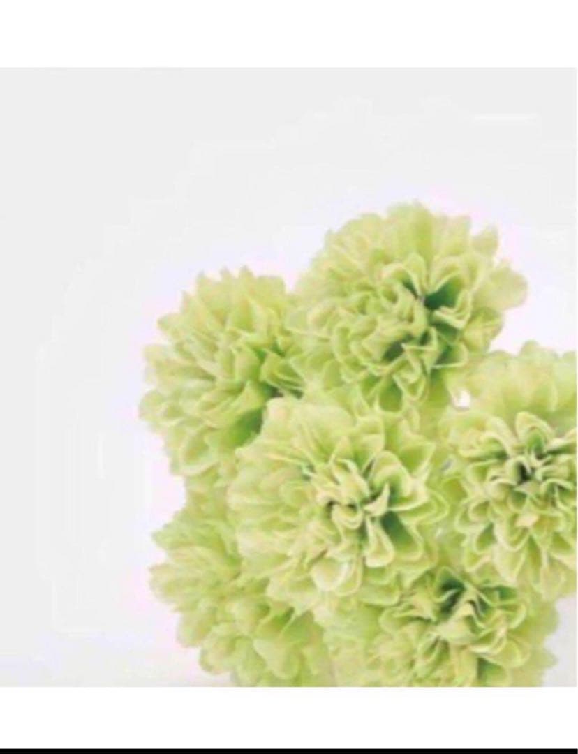 ふぅ コラゲリード2本と、コラゲリードレフィル2本