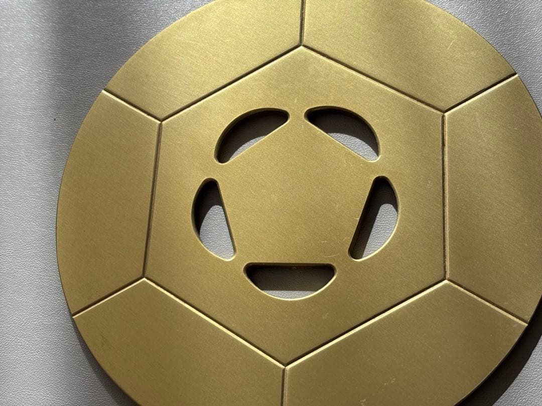 FTWビューラプレート　おまけカバー付き