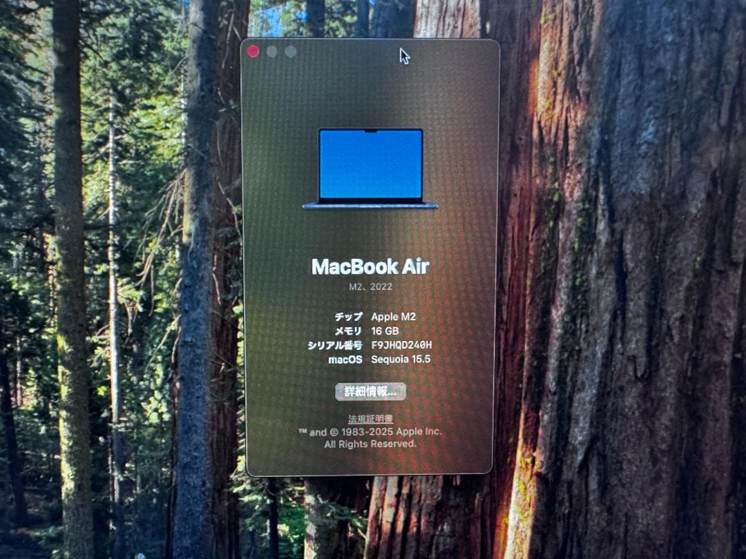 MacBook本体 MacBook Air M2 (2022) 16GB