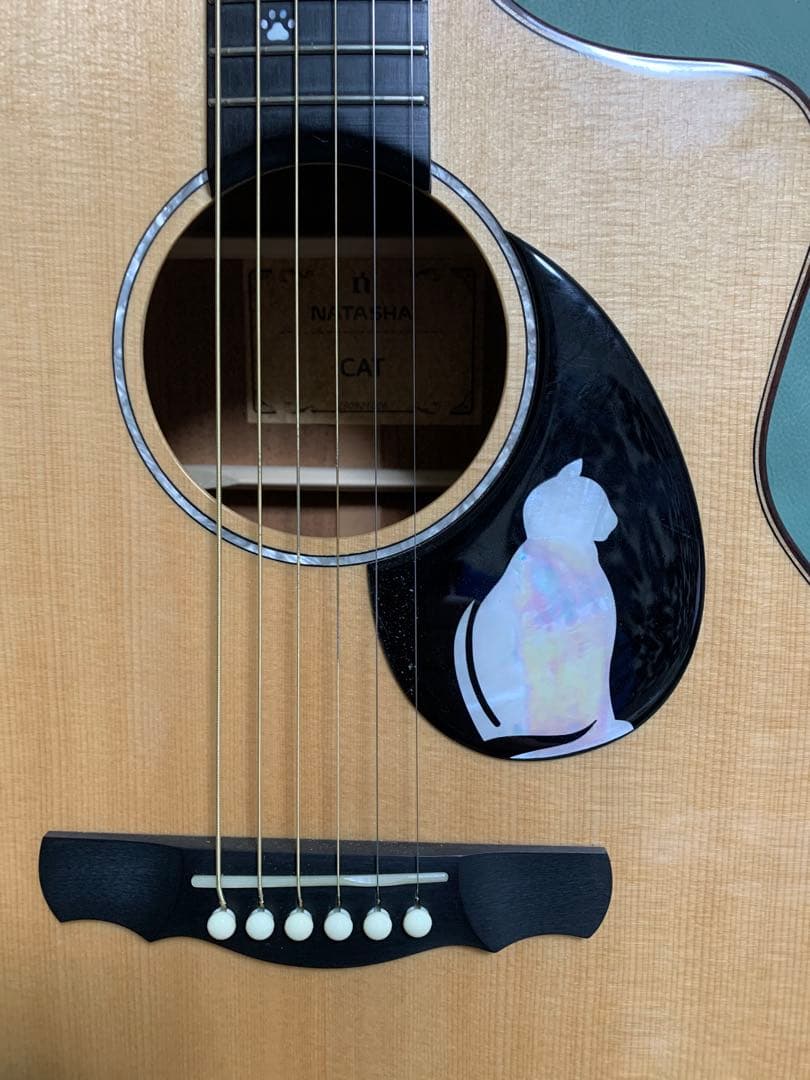 ナターシャギター　THE CAT