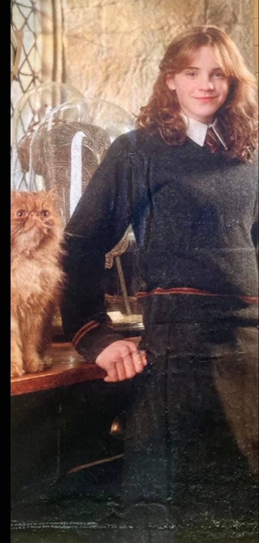 ファンタビ ニュート ハート缶バッジ ハーマイオニービックタオル セット