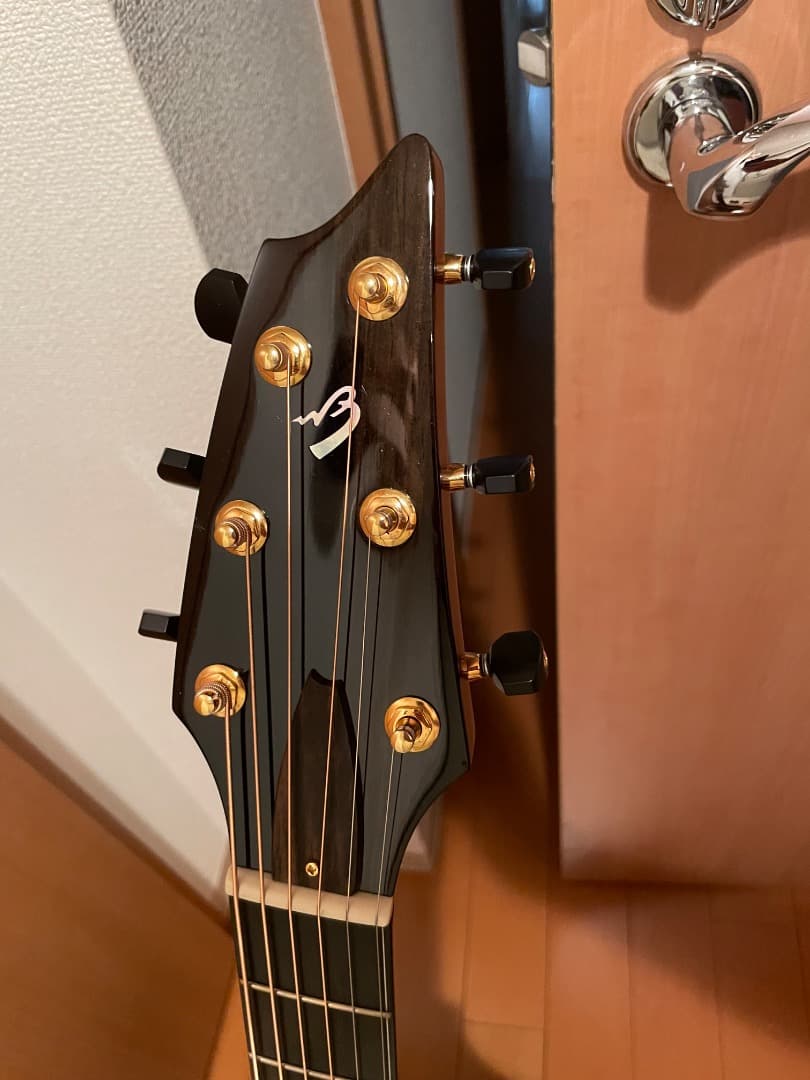 す*ん様 Breedlove Concert Focus SEブリードラブスペシ