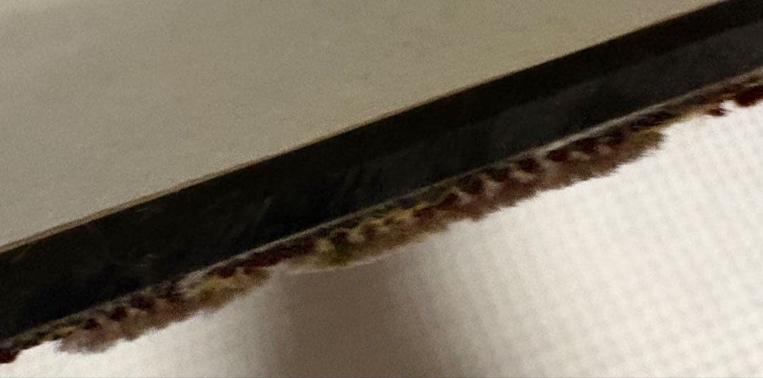 いすゞ　ファイブスターギガ用 リアベッド窓　花籠ワインKENZオリジナル　金華山