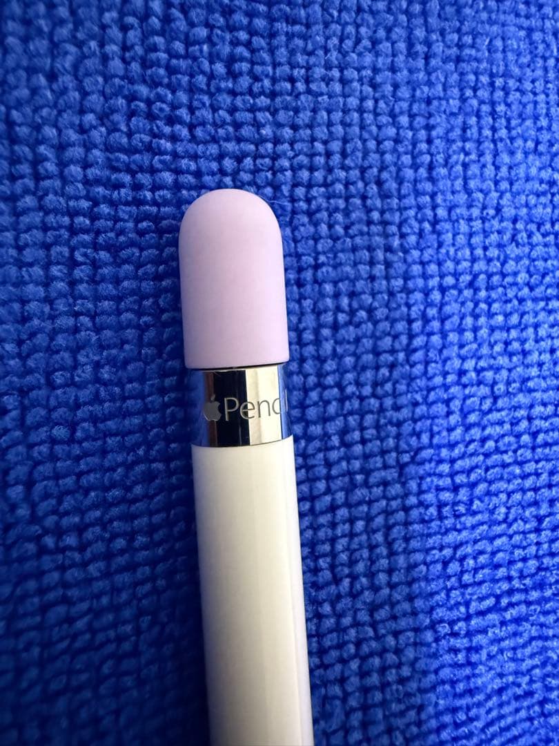 iPadPro 12.9 第2 256GB 100% & ApplePencil