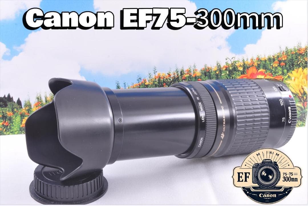 Canon EF 90-300mm USM フード付キヤノン 望遠ズーム 整備済